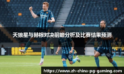 天狼星与赫根对决前瞻分析及比赛结果预测